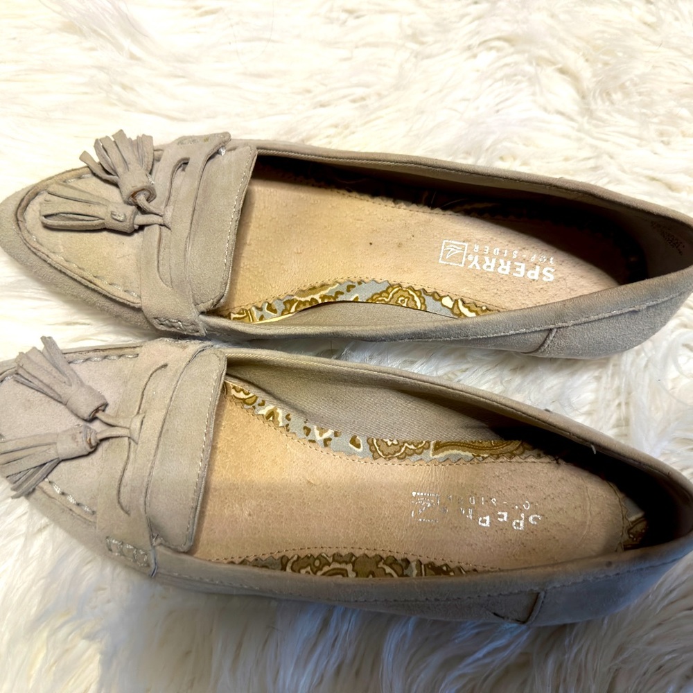 Sperry Everett Grey/Cream Suede Pointed Toe